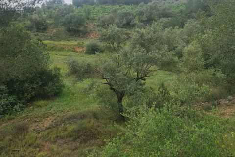 Ruïna a Mora D'ebre, Tarragona, Mora D'ebre - € 38.000 | Ref: 958 Lumoru - foto 12
